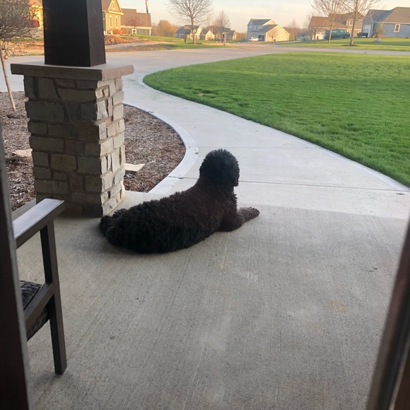 Meet your Posher, Janine - Picture 1 of 1